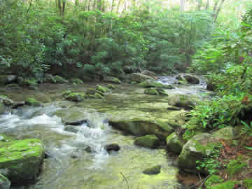 Moccassin Creek