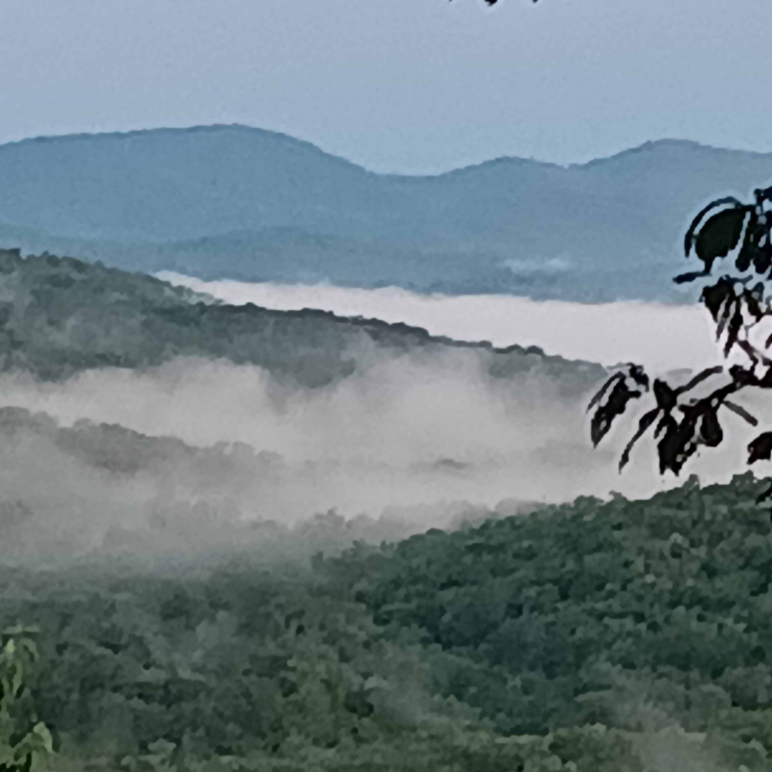 Foggy mountain morning