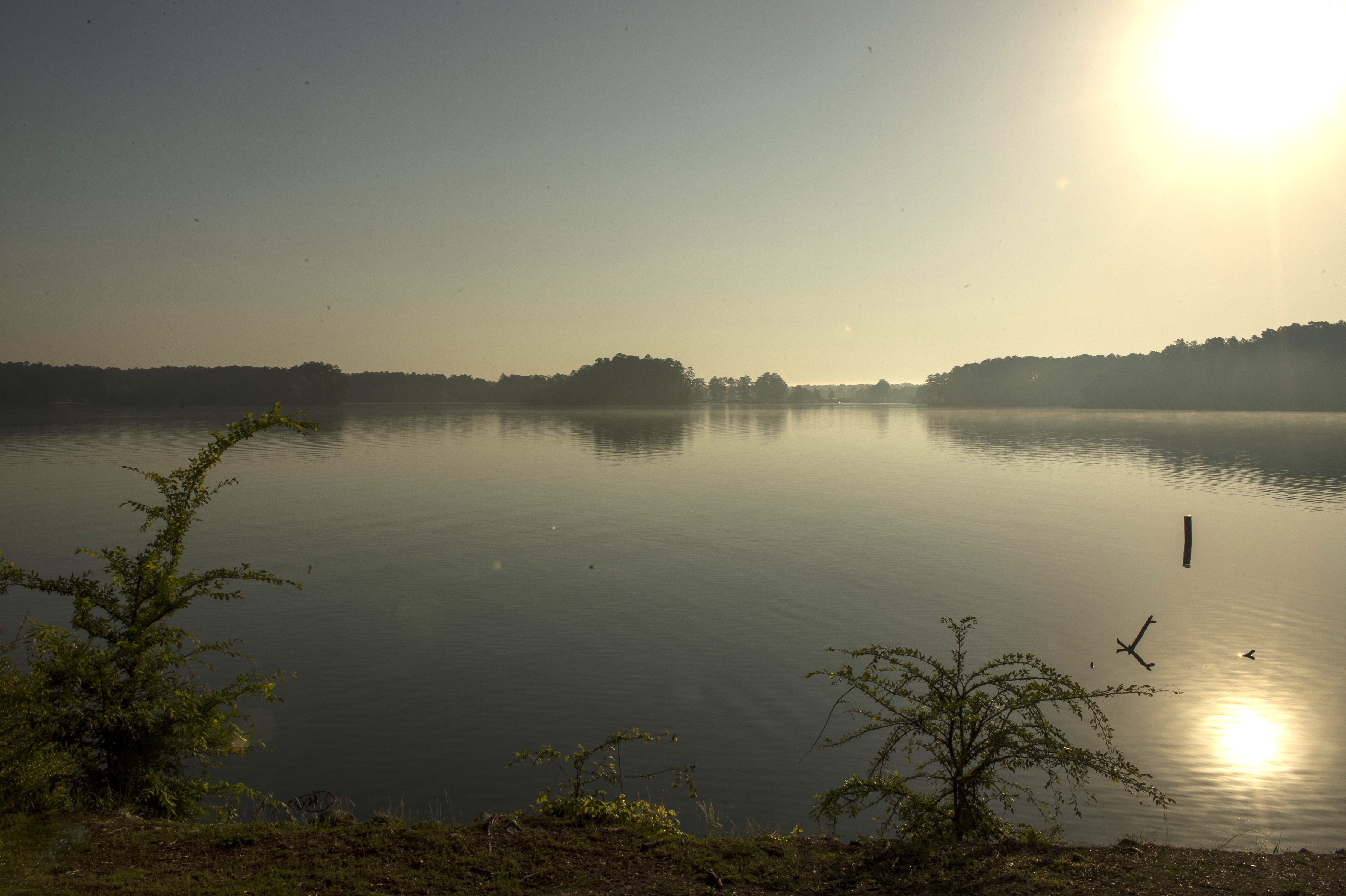 Jackson Lake lake scenery