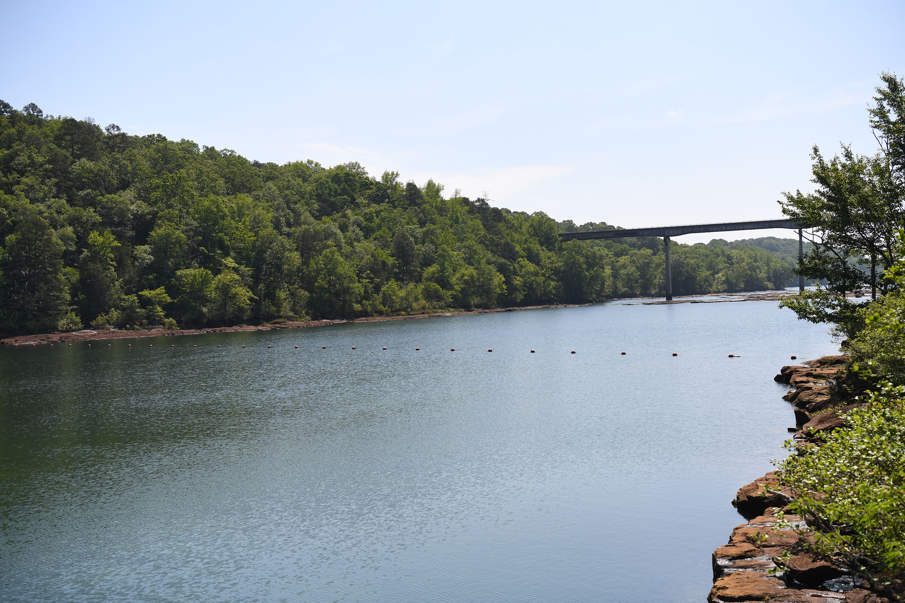 Sailboat on Lake Hartwell